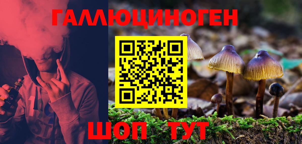 Галлюциногенные грибы Magic Shrooms  Псилоцибиновые грибы Magic Shrooms  Нижневартовск  Вход с VPN 